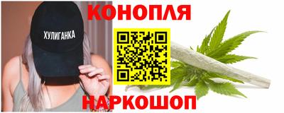 индика Усть-Джегута