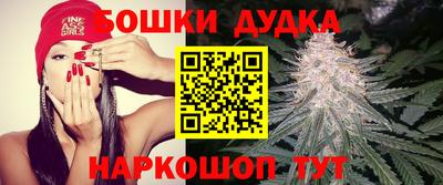 индика Усть-Джегута