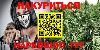 индика Усть-Джегута