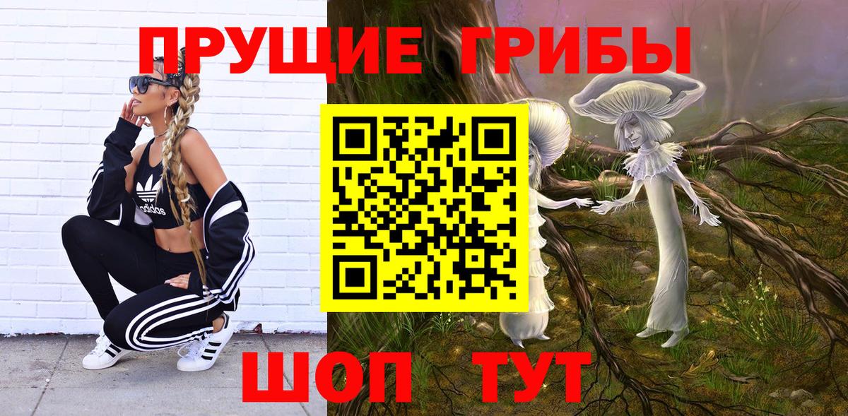 Псилоцибиновые грибы мухоморы  что такое   Малгобек  Вход с VPN 